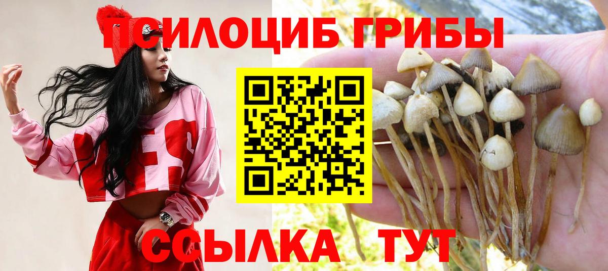Псилоцибиновые грибы Psilocybe  Вход с VPN  Сергиев Посад 